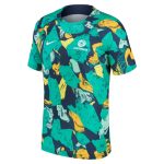 Explore australia national team nike 202223 pre-match top – greenyellow – England World Cup Kits and Jerseys