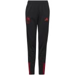 Explore belgium national team adidas youth aeroready training pants – black – England World Cup Kits and Jerseys