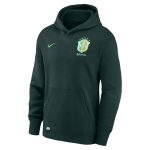 Explore brazil national team nike youth club fleece pullover hoodie – green – England World Cup Kits and Jerseys