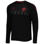 Explore denmark national team fan raglan long sleeve t-shirt – black – England World Cup Kits and Jerseys