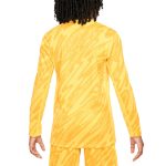 Explore france national team nike youth 2024 goalkeeper replica stadium long sleeve jersey – yellow – England World Cup Kits and Jerseys