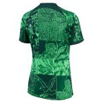 Explore nigeria national team nike women8217s 202223 home breathe stadium replica blank jersey – green – England World Cup Kits and Jerseys