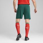 Explore portugal national team puma 2025 home replica shorts – green – England World Cup Kits and Jerseys