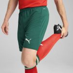 Explore portugal national team puma 2025 home replica shorts – green – England World Cup Kits and Jerseys