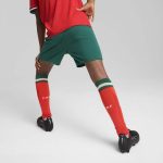 Explore portugal national team puma youth replica shorts – green – England World Cup Kits and Jerseys