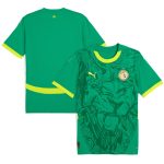 Explore senegal national team puma 2025 away replica jersey – green – England World Cup Kits and Jerseys