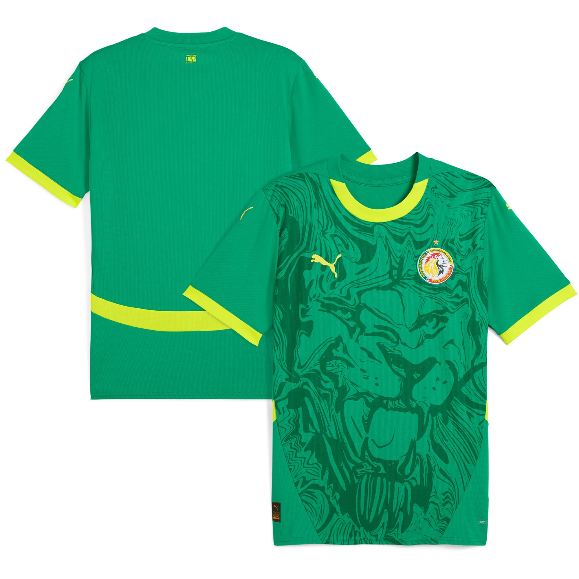 Explore senegal national team puma 2025 away replica jersey – green – England World Cup Kits and Jerseys