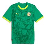 Explore senegal national team puma 2025 away replica jersey – green – England World Cup Kits and Jerseys