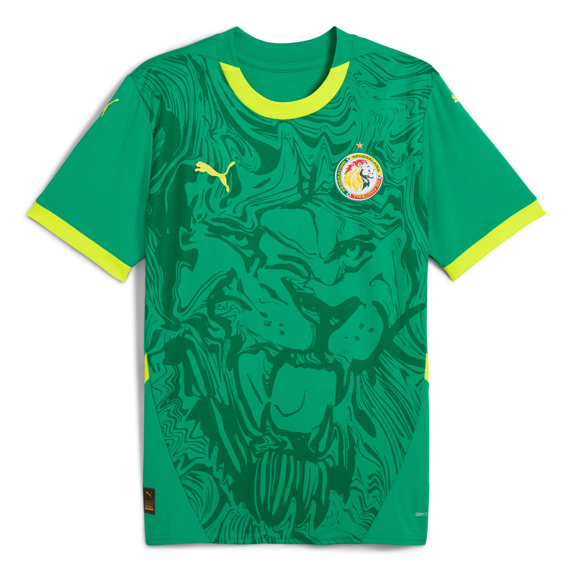 Explore senegal national team puma 2025 away replica jersey – green – England World Cup Kits and Jerseys