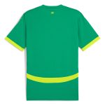 Explore senegal national team puma 2025 away replica jersey – green – England World Cup Kits and Jerseys