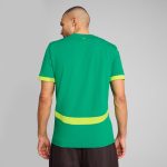 Explore senegal national team puma 2025 away replica jersey – green – England World Cup Kits and Jerseys