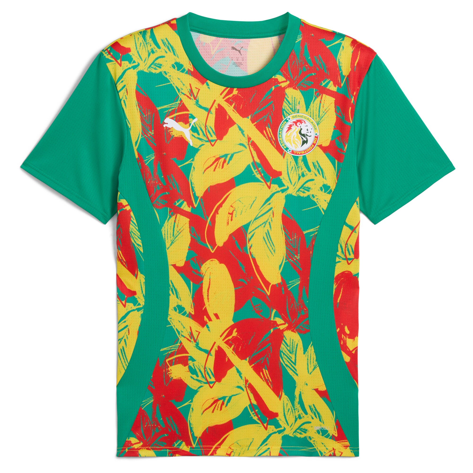 Explore senegal national team puma 2025 pre-match jersey – green – England World Cup Kits and Jerseys