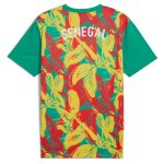 Explore senegal national team puma 2025 pre-match jersey – green – England World Cup Kits and Jerseys