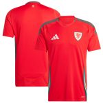 Explore wales national team adidas 2024 home replica jersey – scarlet – England World Cup Kits and Jerseys